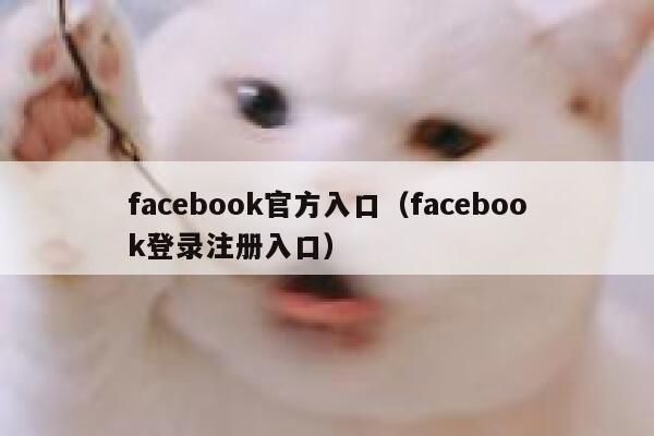 facebook官方入口（facebook登录注册入口） 第1张