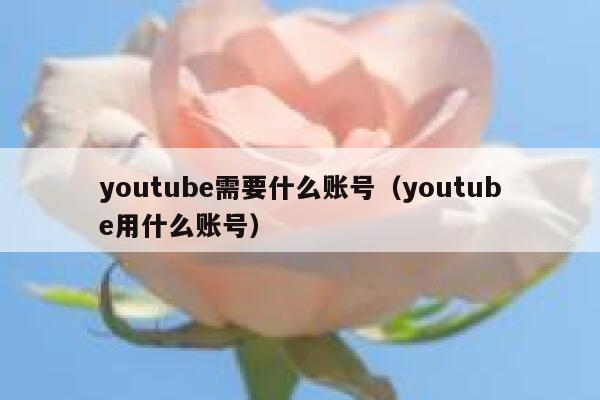 youtube需要什么账号（youtube用什么账号） 第1张