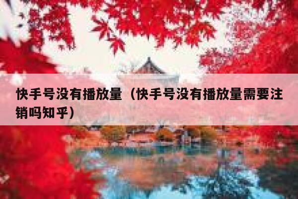 快手号没有播放量（快手号没有播放量需要注销吗知乎） 第1张