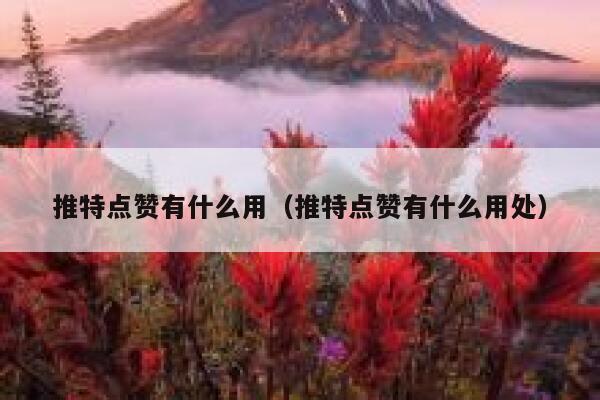 推特点赞有什么用（推特点赞有什么用处） 第1张