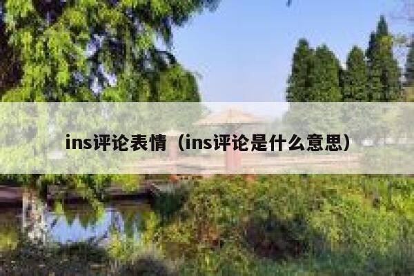 ins评论表情（ins评论是什么意思） 第1张
