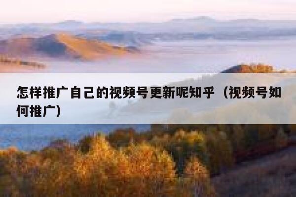 怎样推广自己的视频号更新呢知乎（视频号如何推广） 第1张