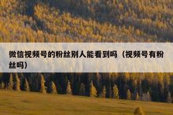 微信视频号的粉丝别人能看到吗（视频号有粉丝吗） 第1张