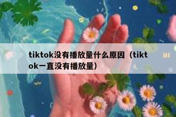 tiktok没有播放量什么原因（tiktok一直没有播放量） 第1张