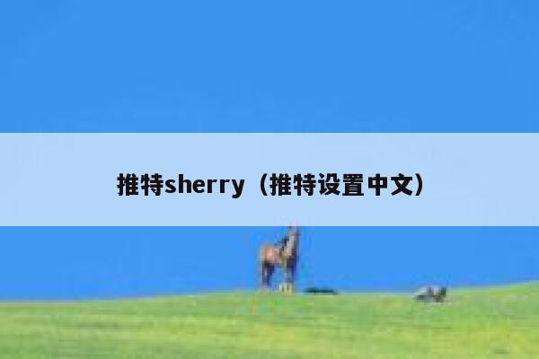 推特sherry（推特设置中文） 第1张