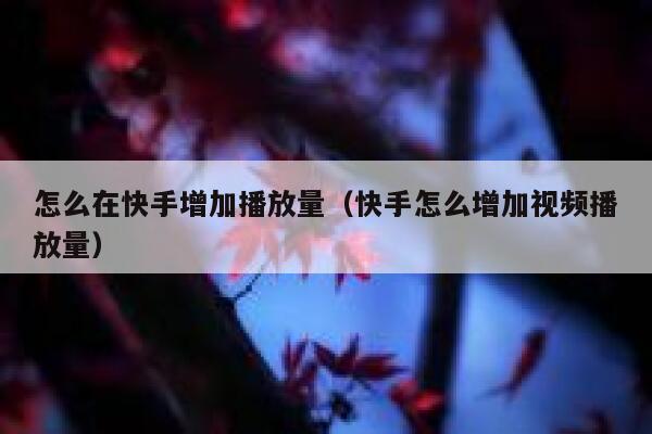 怎么在快手增加播放量（快手怎么增加视频播放量） 第1张
