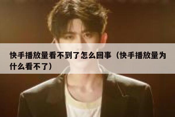 快手播放量看不到了怎么回事（快手播放量为什么看不了） 第1张