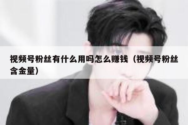 视频号粉丝有什么用吗怎么赚钱（视频号粉丝含金量） 第1张
