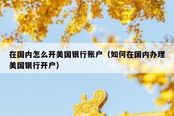 在国内怎么开美国银行账户（如何在国内办理美国银行开户） 第1张