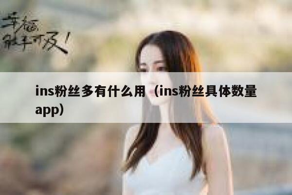 ins粉丝多有什么用（ins粉丝具体数量app） 第1张