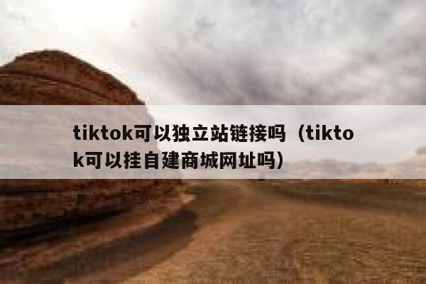 tiktok可以独立站链接吗（tiktok可以挂自建商城网址吗） 第1张