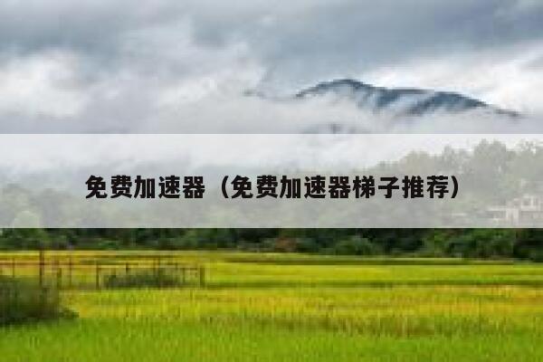 免费加速器（免费加速器梯子推荐） 第1张