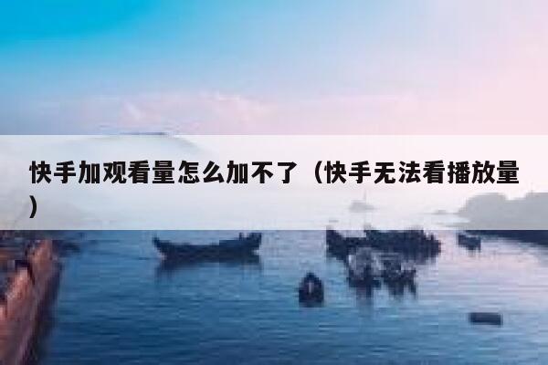 快手加观看量怎么加不了（快手无法看播放量） 第1张