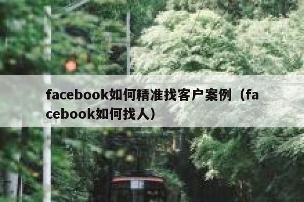 facebook如何精准找客户案例（facebook如何找人） 第1张