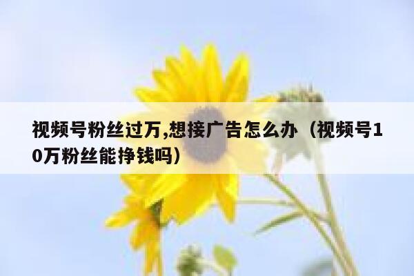 视频号粉丝过万,想接广告怎么办（视频号10万粉丝能挣钱吗） 第1张