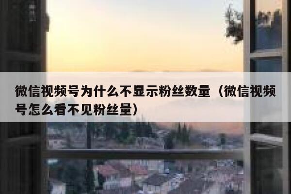 微信视频号为什么不显示粉丝数量（微信视频号怎么看不见粉丝量） 第1张