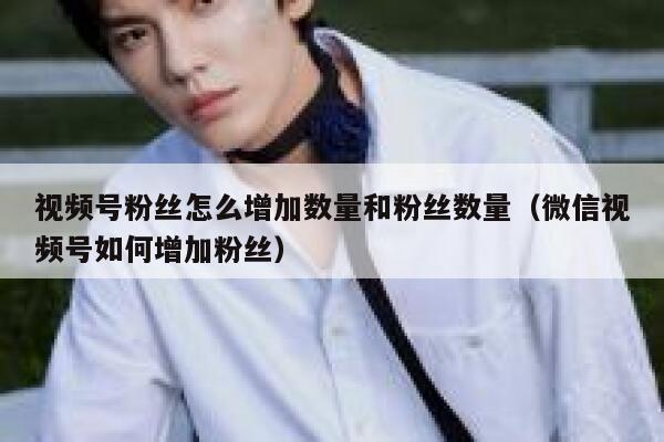 视频号粉丝怎么增加数量和粉丝数量（微信视频号如何增加粉丝） 第1张