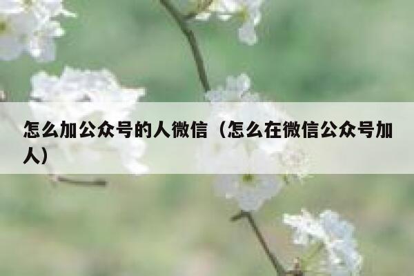 怎么加公众号的人微信（怎么在微信公众号加人） 第1张