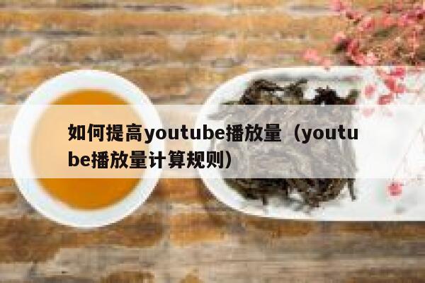 如何提高youtube播放量（youtube播放量计算规则） 第1张