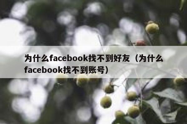 为什么facebook找不到好友（为什么facebook找不到账号） 第1张