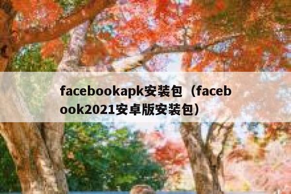 facebookapk安装包（facebook2021安卓版安装包） 第1张