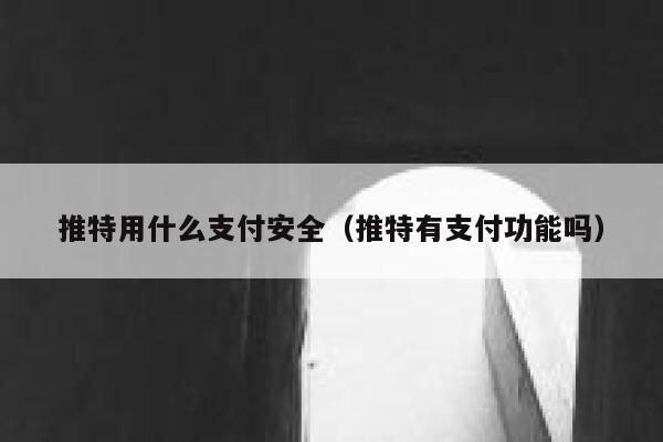 推特用什么支付安全（推特有支付功能吗） 第1张
