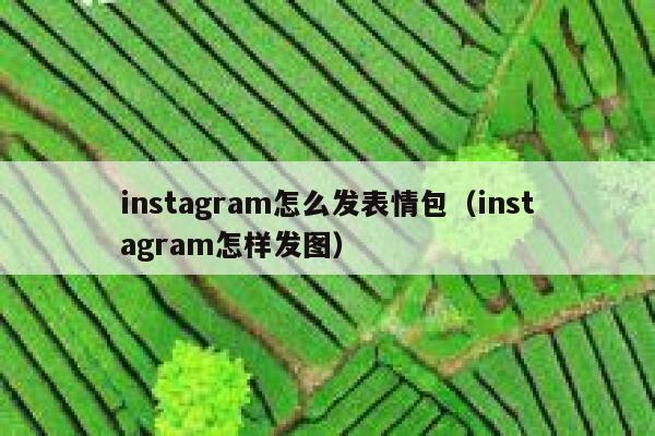 instagram怎么发表情包（instagram怎样发图） 第1张