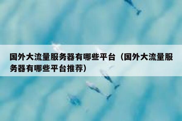 国外大流量服务器有哪些平台（国外大流量服务器有哪些平台推荐） 第1张