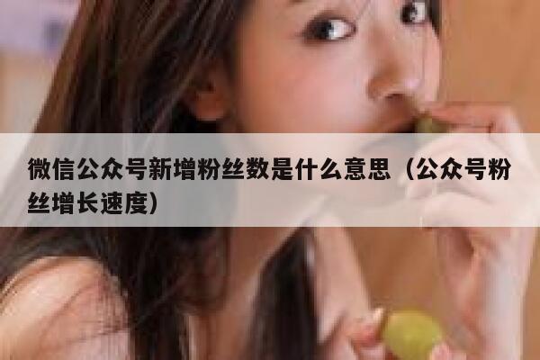 微信公众号新增粉丝数是什么意思（公众号粉丝增长速度） 第1张