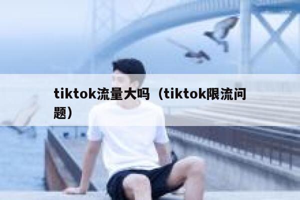 tiktok流量大吗（tiktok限流问题） 第1张