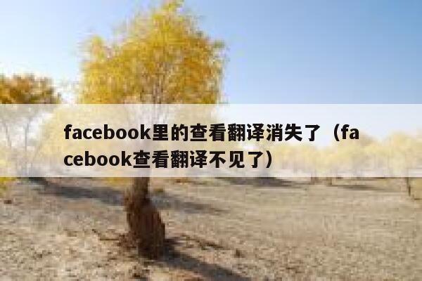 facebook里的查看翻译消失了（facebook查看翻译不见了） 第1张