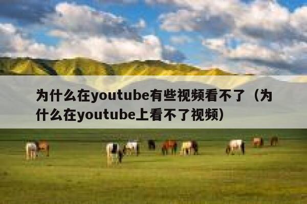 为什么在youtube有些视频看不了（为什么在youtube上看不了视频） 第1张