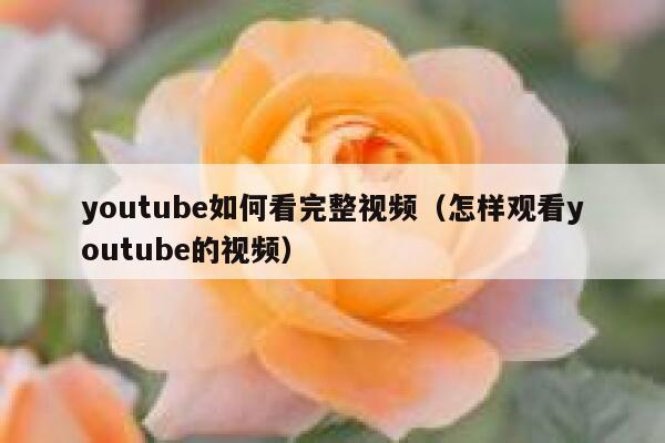 youtube如何看完整视频（怎样观看youtube的视频） 第1张