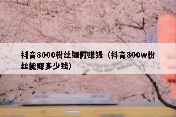 抖音8000粉丝如何赚钱（抖音800w粉丝能赚多少钱） 第1张