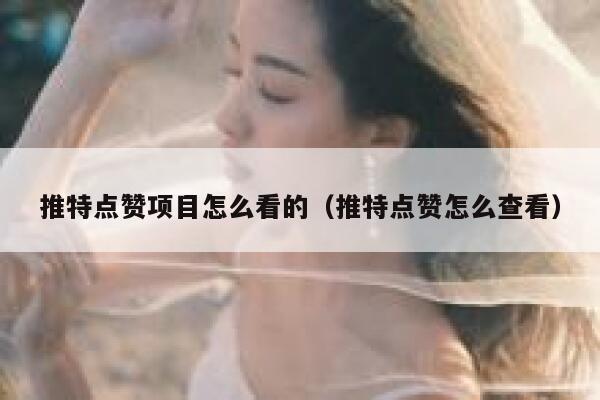 推特点赞项目怎么看的（推特点赞怎么查看） 第1张