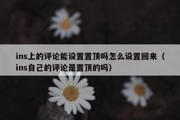 ins上的评论能设置置顶吗怎么设置回来（ins自己的评论是置顶的吗） 第1张