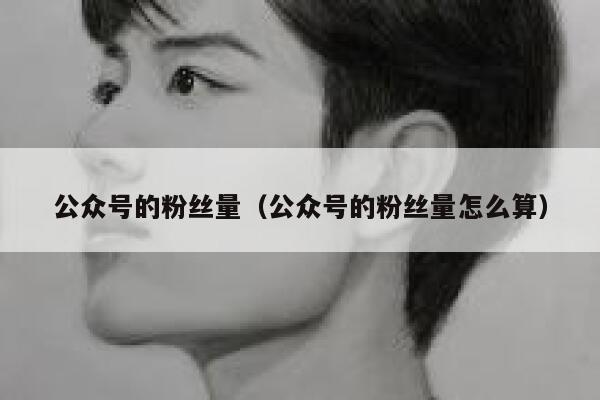 公众号的粉丝量（公众号的粉丝量怎么算） 第1张