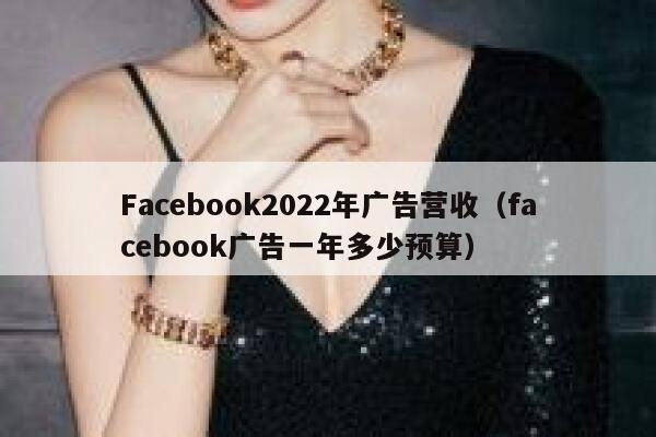 Facebook2022年广告营收（facebook广告一年多少预算） 第1张