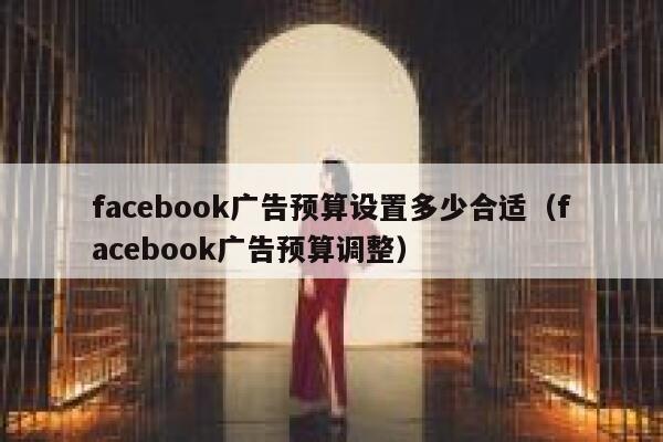 facebook广告预算设置多少合适（facebook广告预算调整） 第1张