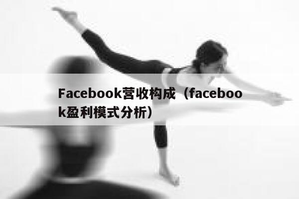 Facebook营收构成（facebook盈利模式分析） 第1张