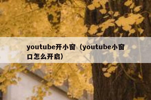 youtube开小窗（youtube小窗口怎么开启） 第1张