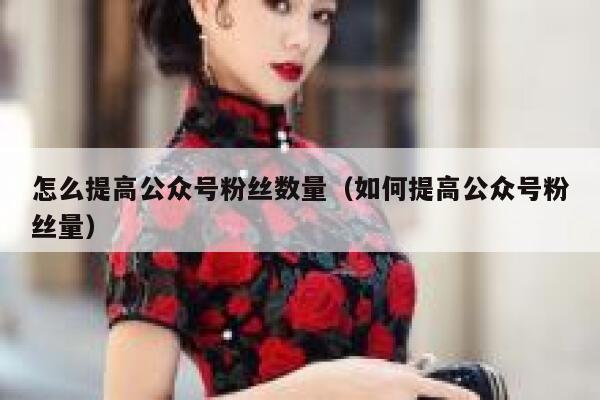 怎么提高公众号粉丝数量（如何提高公众号粉丝量） 第1张