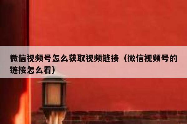 微信视频号怎么获取视频链接（微信视频号的链接怎么看） 第1张