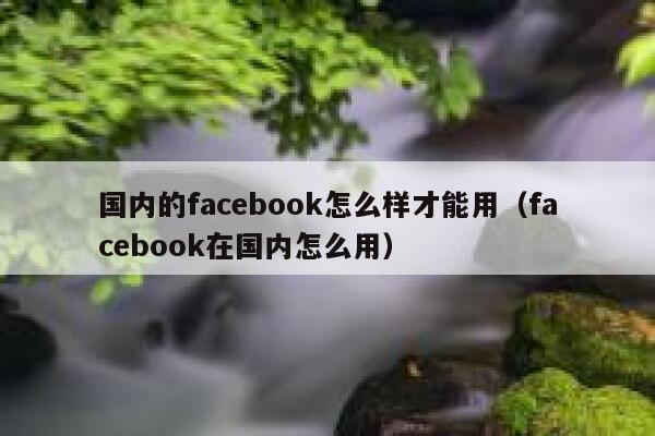 国内的facebook怎么样才能用（facebook在国内怎么用） 第1张