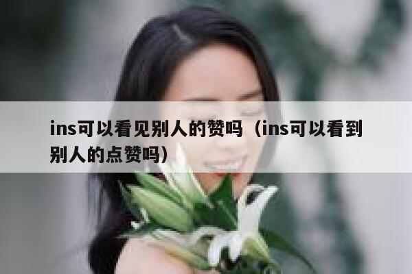 ins可以看见别人的赞吗（ins可以看到别人的点赞吗） 第1张