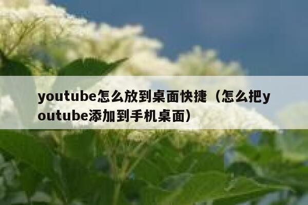 youtube怎么放到桌面快捷（怎么把youtube添加到手机桌面） 第1张