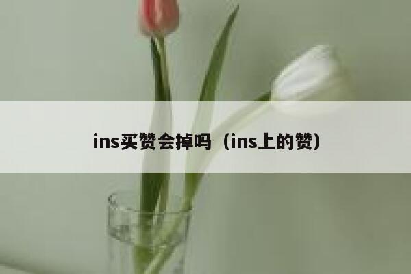 ins买赞会掉吗（ins上的赞） 第1张