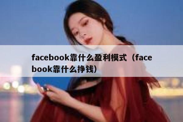 facebook靠什么盈利模式（facebook靠什么挣钱） 第1张