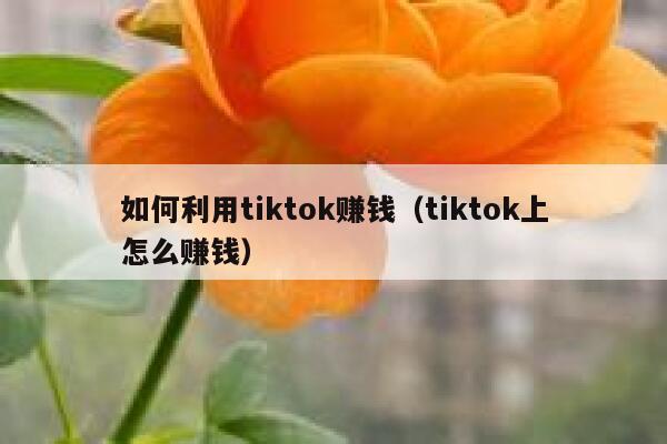 如何利用tiktok赚钱（tiktok上怎么赚钱） 第1张