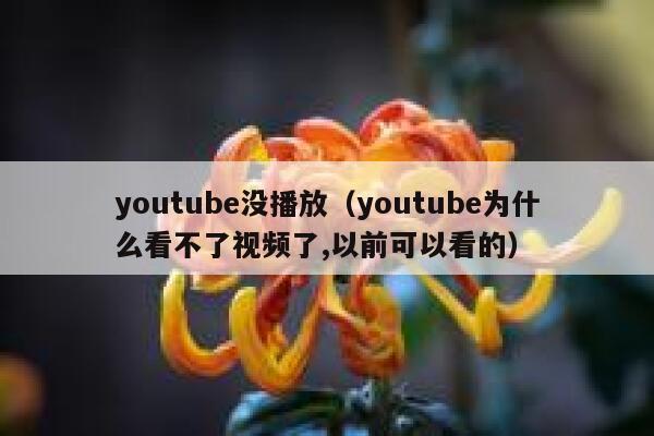 youtube没播放（youtube为什么看不了视频了,以前可以看的） 第1张